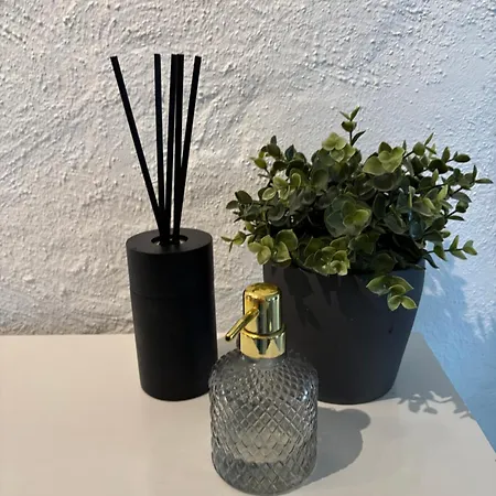 Apartment Large 4 Bedroom In With A Sunny Terrace *